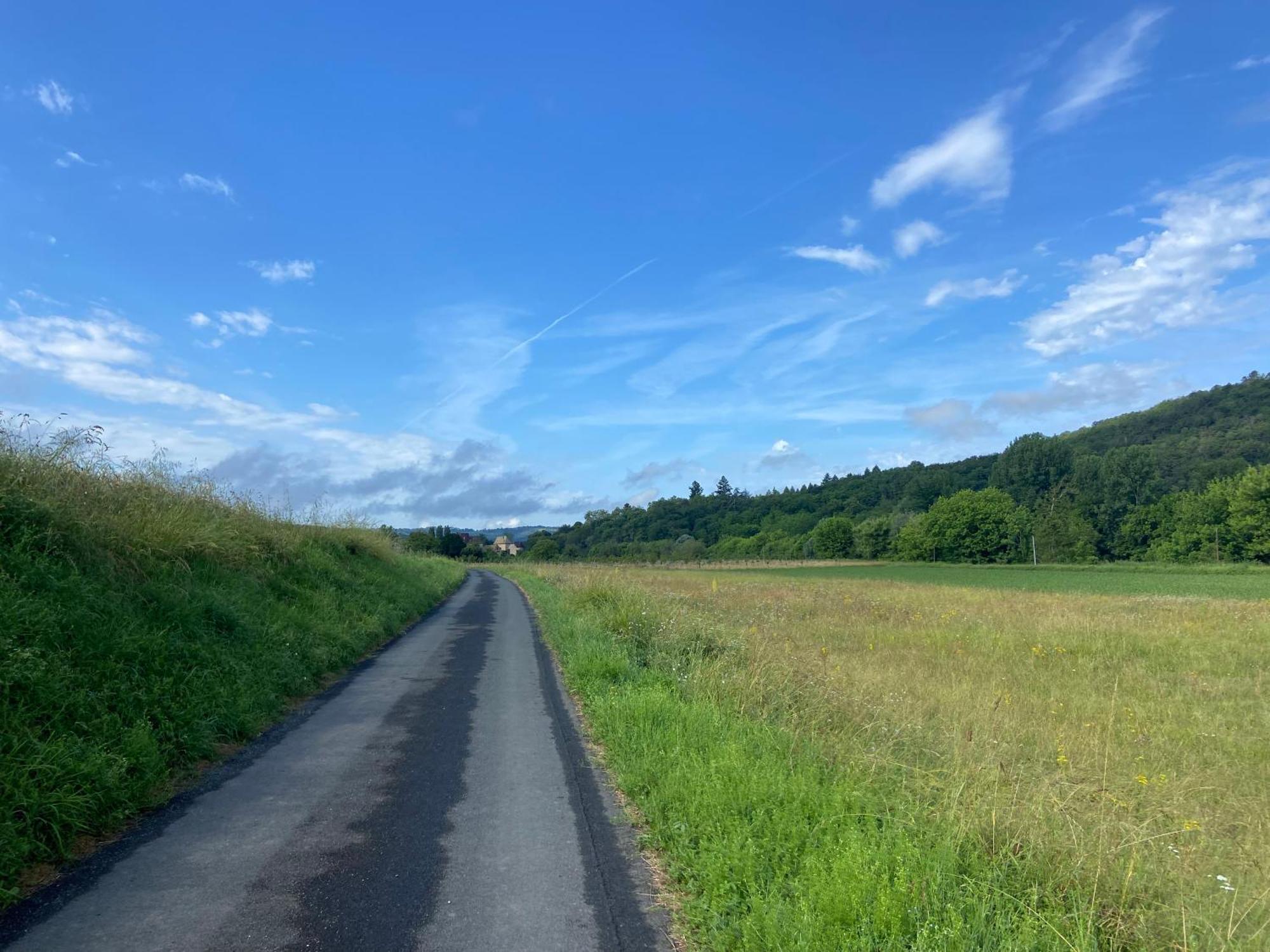 Gite Wildflower Lane Valojoulx Eksteriør billede